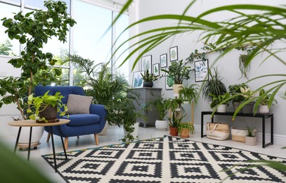 Comfortable armchair and beautiful houseplants in room. Lounge area interior