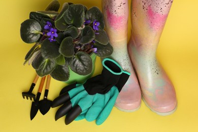 Gardening gloves, gumboots and tools near bucket with houseplant on yellow background