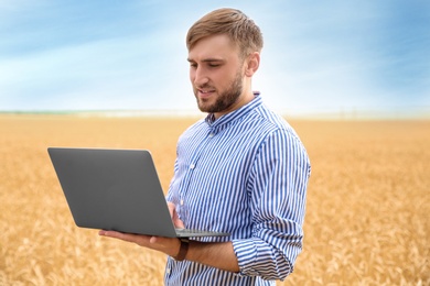 Young agronomist with laptop in grain field. Cereal farming