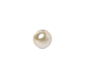 One beautiful oyster pearl on white background