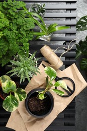 Photo of Lush exotic house plants and gardening tools on table, flat lay