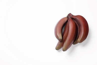 Tasty red baby bananas on white background, top view