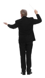 Photo of Professional conductor with baton on white background, back view