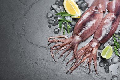 Photo of Fresh raw squids with ice, citrus fruits and arugula on black table, flat lay. Space for text