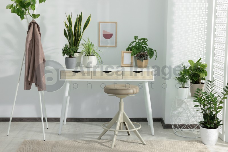 Photo of Stylish room interior with different beautiful house plants and white table