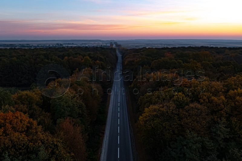 Aerial view of road going through beautiful autumn forest in evening