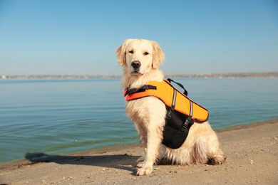Dog rescuer in life vest on beach near river