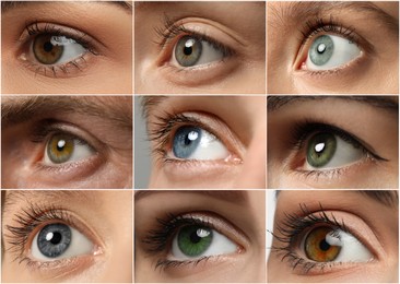 Collage with photos of people with beautiful eyes of different colors
