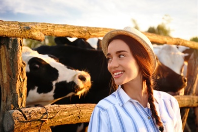 Young woman near cow pen on farm. Animal husbandry