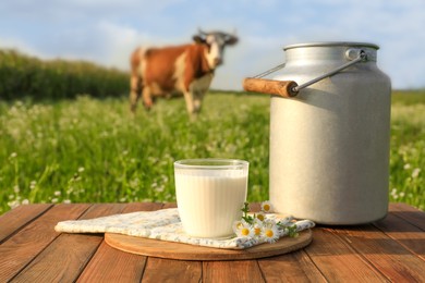 Photo of Milk with camomiles on wooden table and cow grazing in meadow