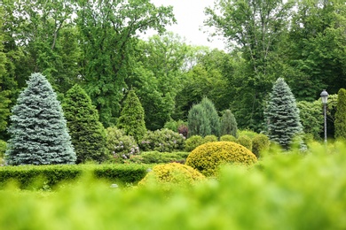 Photo of View of beautiful garden with different plants