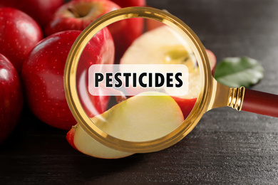 Magnifying glass with inscription Pesticides and apples. Food poisoning concept  