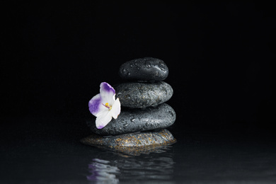 Photo of Stones and flower in water on black background. Zen lifestyle
