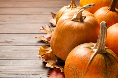 Ripe pumpkins on wooden background, closeup with space for text. Holiday decoration