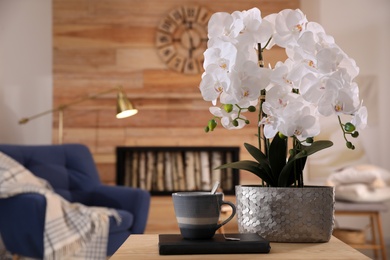 Beautiful white orchids and cup of tea on wooden table in living room, space for text. Interior design