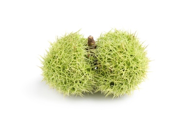 Photo of Fresh sweet edible chestnuts in green husk on white background