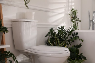 Photo of White toilet bowl and green houseplants in bathroom. Interior design