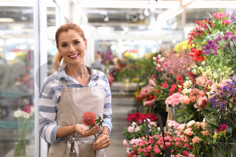 Female florist holding beautiful flower in shop