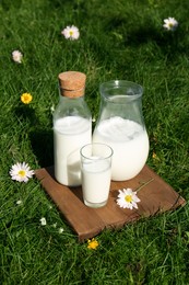 Photo of Glassware with fresh milk on green grass outdoors