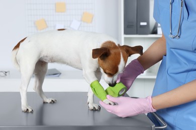 Veterinarian applying bandage onto dog's paw at table in clinic, closeup
