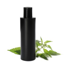 Photo of Stinging nettle and cosmetic product on white background. Natural hair care