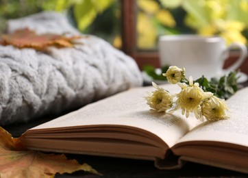 Photo of Book with flowers, soft sweater and dry leaves on wooden windowsill, closeup. Autumn atmosphere