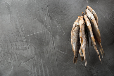 Dried fish hanging on rope against grey background, space for text