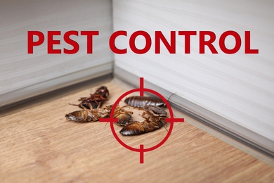 Cockroach with red target symbol on wooden surface. Pest control