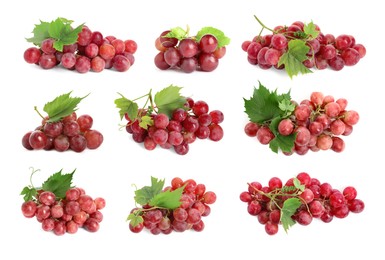 Set with fresh ripe grapes on white background