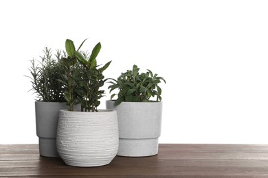 Pots with bay, sage and rosemary on wooden table against white background