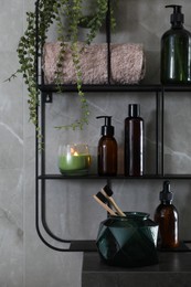 Different toiletries and green plant on shelving unit in bathroom. Interior design