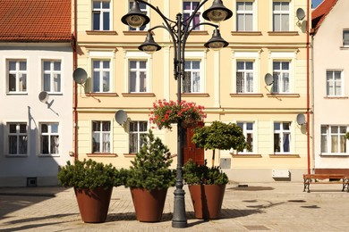 Street lamp with beautiful blooming flowers and green plants in front of buildings outdoors