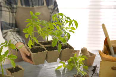 Woman holding peat pots with tomato seedlings at table, closeup