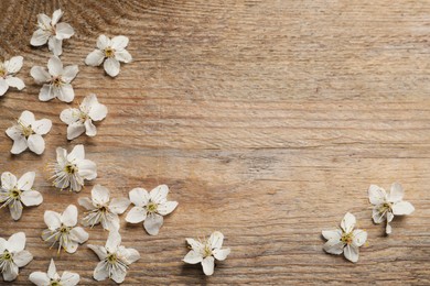 Beautiful cherry blossoms on wooden table, flat lay. Space for text