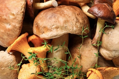 Different fresh wild mushrooms as background, top view