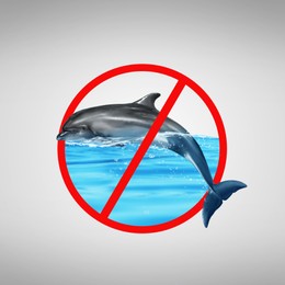 Dolphin and red prohibition sign on light grey background. Anti-Captivity Campaign