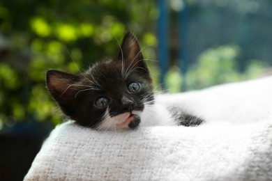 Photo of Cute baby kitten lying on cozy blanket outdoors, closeup
