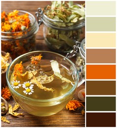 Freshly brewed tea and dried herbs on wooden table and color palette. Collage