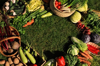 Frame of different fresh ripe vegetables on green grass, top view. Space for text