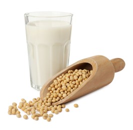 Glass of fresh soy milk and scoop with beans on white background