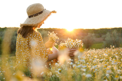 Photo of Woman with straw hat and handbag full of chamomiles resting in meadow