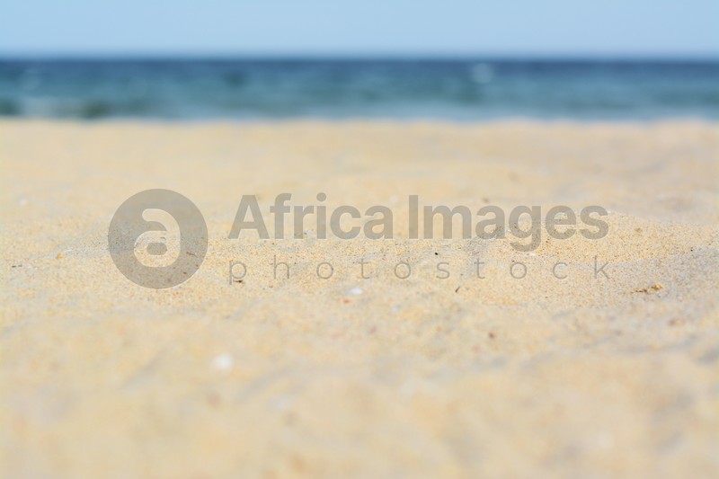 Beautiful sandy beach near sea, closeup view