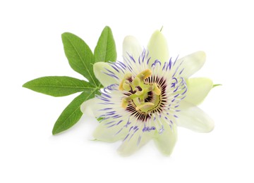 Beautiful blossom of Passiflora plant (passion fruit) with green leaves on white background