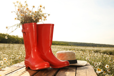 Red rubber boots with chamomiles and straw hat on wooden table in field