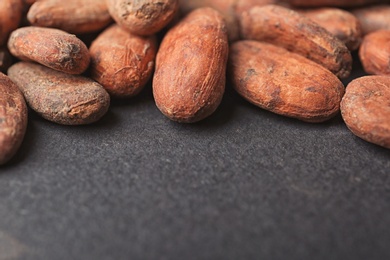 Fresh aromatic cocoa beans on dark background