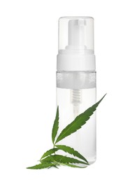 Bottle of hemp cosmetics with green leaves isolated on white