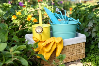 Basket with watering can, gardening tools and rubber gloves in garden