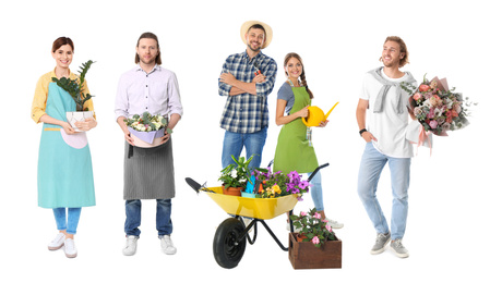 Collage of florists with plants on white background