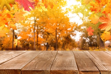 Image of Empty wooden surface and beautiful autumn leaves in park