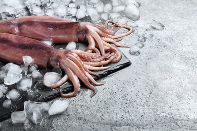 Photo of Fresh raw squids with ice on grey table. Space for text